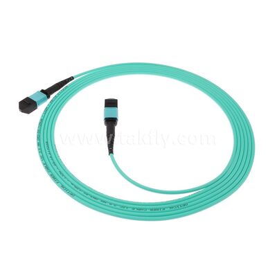 MPO MTP Patchcord MM OM3 Trunk Cable 12F Glasvezel voor Data Center AI Telecom Cabling