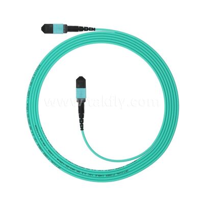 MPO MTP Patchcord MM OM3 Trunk Cable 12F Glasvezel voor Data Center AI Telecom Cabling