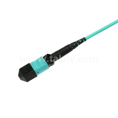 MPO MTP Patchcord MM OM3 Trunk Cable 12F Glasvezel voor Data Center AI Telecom Cabling