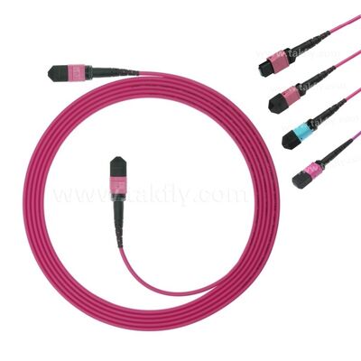 MPO MTP Patchcord Multimode OM4 Trunk-kabel 12F glasvezel voor datacenter AI Telecom-bekabeling