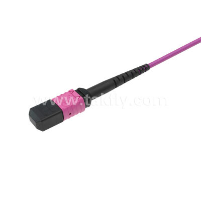 MPO MTP Patchcord Multimode OM4 Trunk-kabel 12F glasvezel voor datacenter AI Telecom-bekabeling