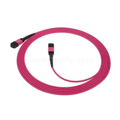 MPO MTP Patchcord Multimode OM4 Trunk-kabel 12F glasvezel voor datacenter AI Telecom-bekabeling