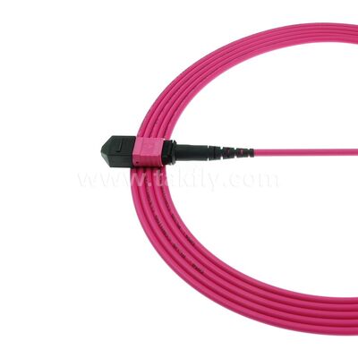 MPO MTP Patchcord Multimode OM4 Trunk-kabel 12F glasvezel voor datacenter AI Telecom-bekabeling