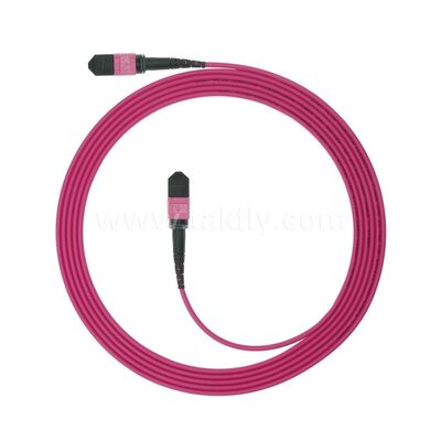 MPO MTP Patchcord Multimode OM4 Trunk-kabel 12F glasvezel voor datacenter AI Telecom-bekabeling