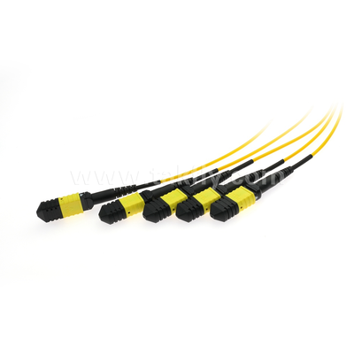MPO/MTP Fanout Cable PLC Splitter 1x4 Single-Mode Glasvezel voor Data Center FTTX