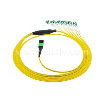 MPO/MTP Patchcord Fanout Uniboot LC Singlemode Breakout Glasvezelkabel voor Data Center Kabelen AI Telecom