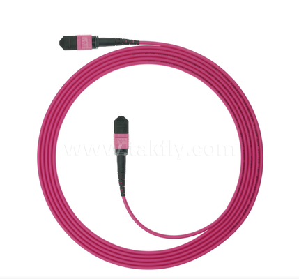 MPO/MTP OM4 Patch Cord    High-Density Multimode Connectivity voor Next-Generation Data Centers