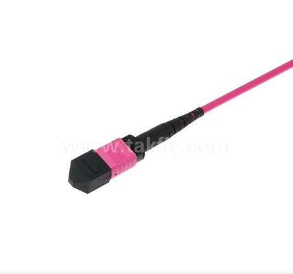 MPO/MTP OM4 Patch Cord    High-Density Multimode Connectivity voor Next-Generation Data Centers