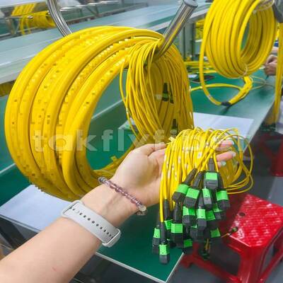 Takfly MPO/MTP Patch Cord 8/12/24 Kernen tot 576 Kernen laag verlies 500 paringscycli IEC & TIA compliant