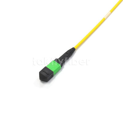 Amphenol aangepast 288 vezels 0.35dB Max Invoegverlies Singlemode OS2 MPO Trunk Cable voor Data Center