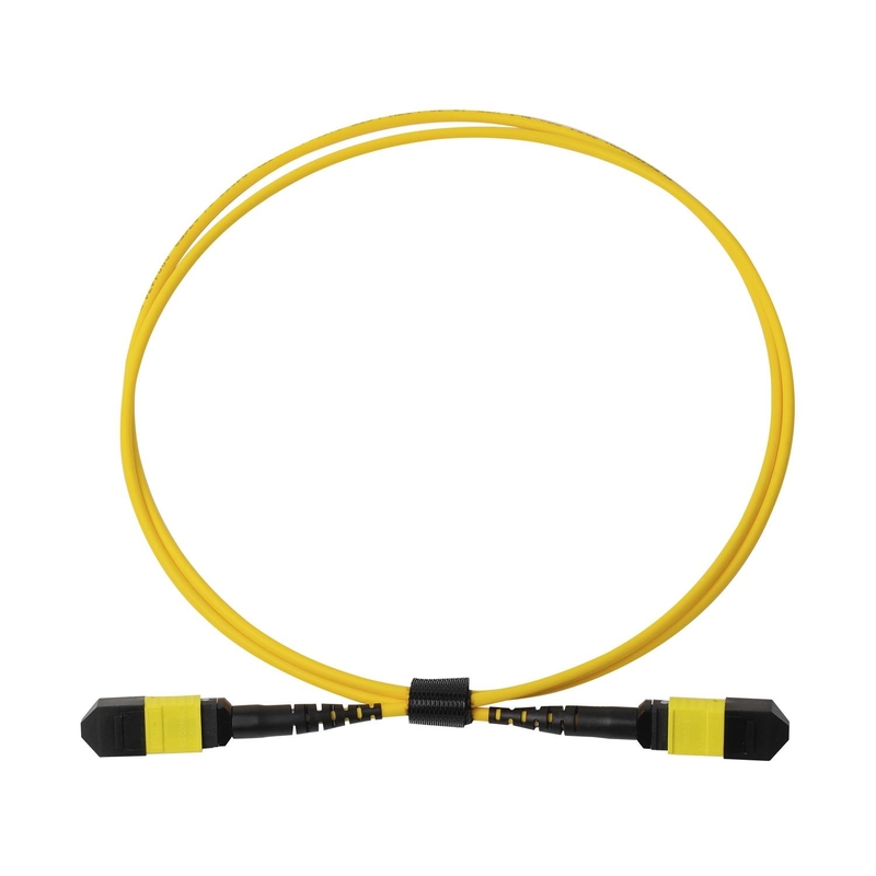 Plenum OFNP MPO Patch Cord 1m 3ft MTP-12 APC Vrouwelijk naar MTP-12 APC Vrouwelijk Single Mode OS2