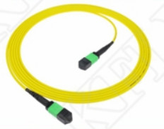 2m 7ft MTP Patch Cord Plenum OFNP MPO Patch Cord Cable 3.0mm MTP 12F APC Vrouwelijke Elite