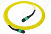 MTP-12 APC Vrouwelijk naar MTP-12 APC Vrouwelijk Single Mode OS2 Plenum OFNP Type A MPO patch cord