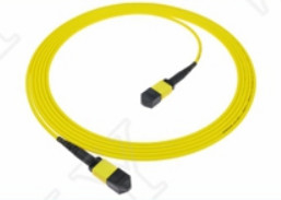 MTP-12 APC Vrouwelijk naar MTP-12 APC Vrouwelijk SingleMode OS2 Plenum OFNP Type A MPO Patch Cord 5m 16ft