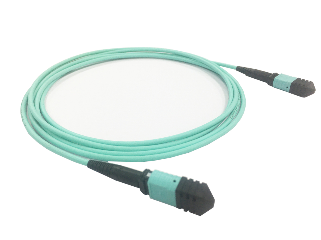Elite Multimode OM3 50/125, Plenum OFNP Type B MPO Patch Cord 3m 10ft MTP-12 PC Vrouwelijk naar MTP-12 PC Vrouwelijk