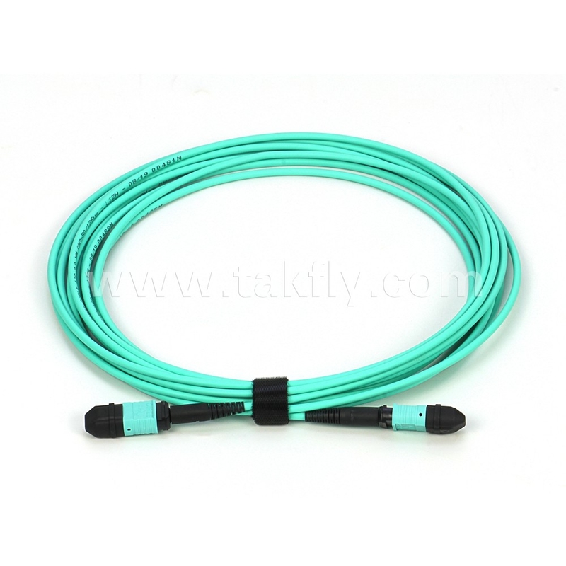 Elite Multimode OM3 50/125 Plenum OFNP Type B MPO Patch Cord 30m 100ft MTP-12 PC Vrouwelijk naar MTP-12 PC Vrouwelijk