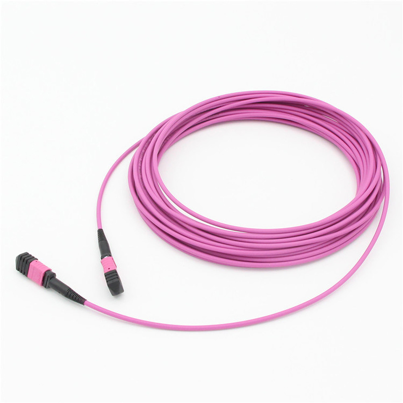 Elite Multimode OM4 50/125, Plenum OFNP Type B MPO patch cord 1m 3ft MTP-12 PC Vrouwelijk naar MTP-12 PC Vrouwelijk