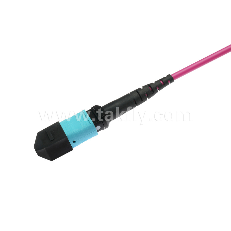Elite Multimode OM4 50/125, Plenum OFNP Type B MPO patch cord 3m 10ft MTP-12 PC Vrouwelijk naar MTP-12 PC Vrouwelijk