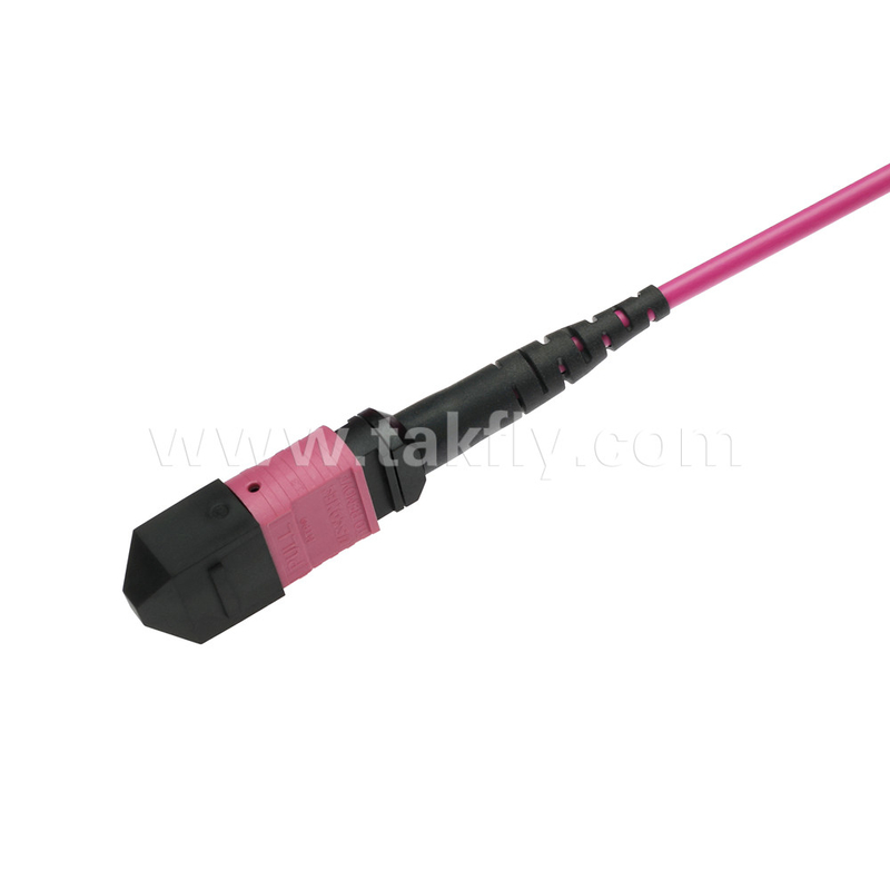 Elite Multimode OM4 50/125, Plenum OFNP Type B MPO Patch Cord 5m 16ft MTP-12 PC Vrouwelijk naar MTP-12 PC Vrouwelijk
