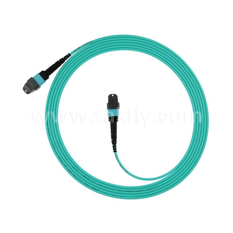 Hoge dichtheid OM3 OM4 OM5 Multimode 8F 12F 16F 24F MPO MTP Multimode Fiber Optic Patchcord / Optical Fiber Patch Cable / Optical Jumper / Optical Fiber Trunk Cable voor datacenters
