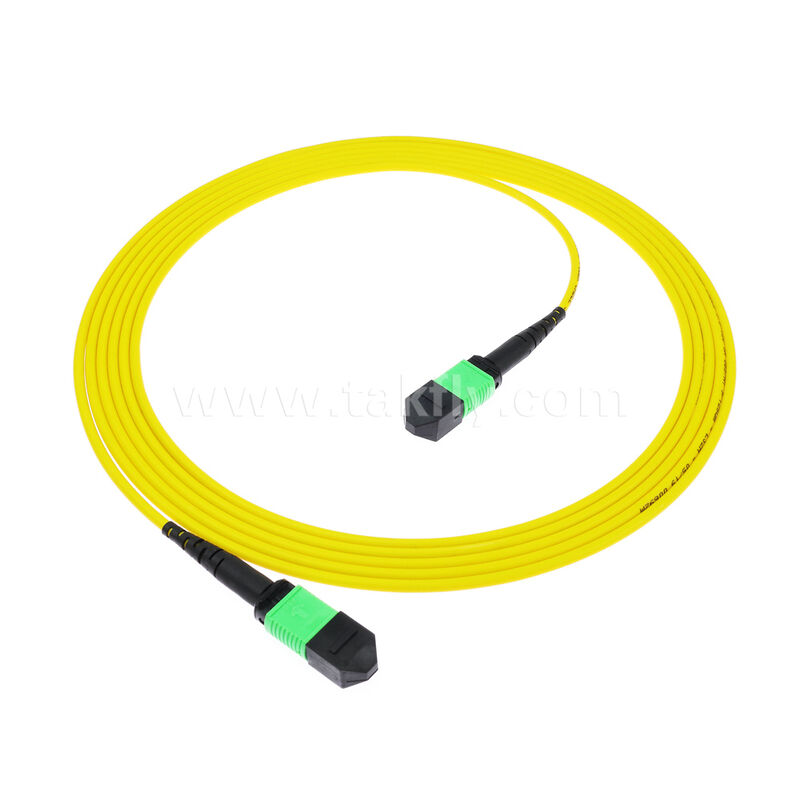 8F 12F 16F 24F MPO MTP Manlijk Vrouwelijk SM OS2 G652D G657A1 G657A2 Glasvezel Patchcord / Glasvezel Patch Cable / Glasvezel Breakout Cable / Glasvezel Trunk Cable voor High Density Data Center