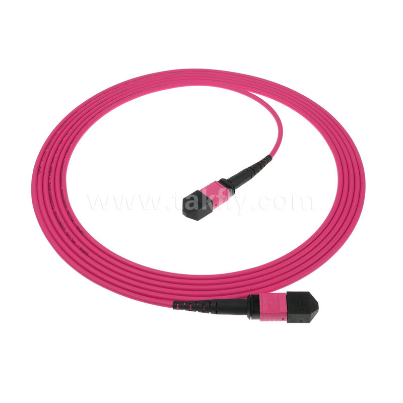 MPO MTP Man Vrouwelijk 8F 12F 16F 24F MM Multimode OM4 Glasvezel Patchcord / Glasvezel Patch Cable / Glasvezel Breakout Cable / Glasvezel Trunk Cable