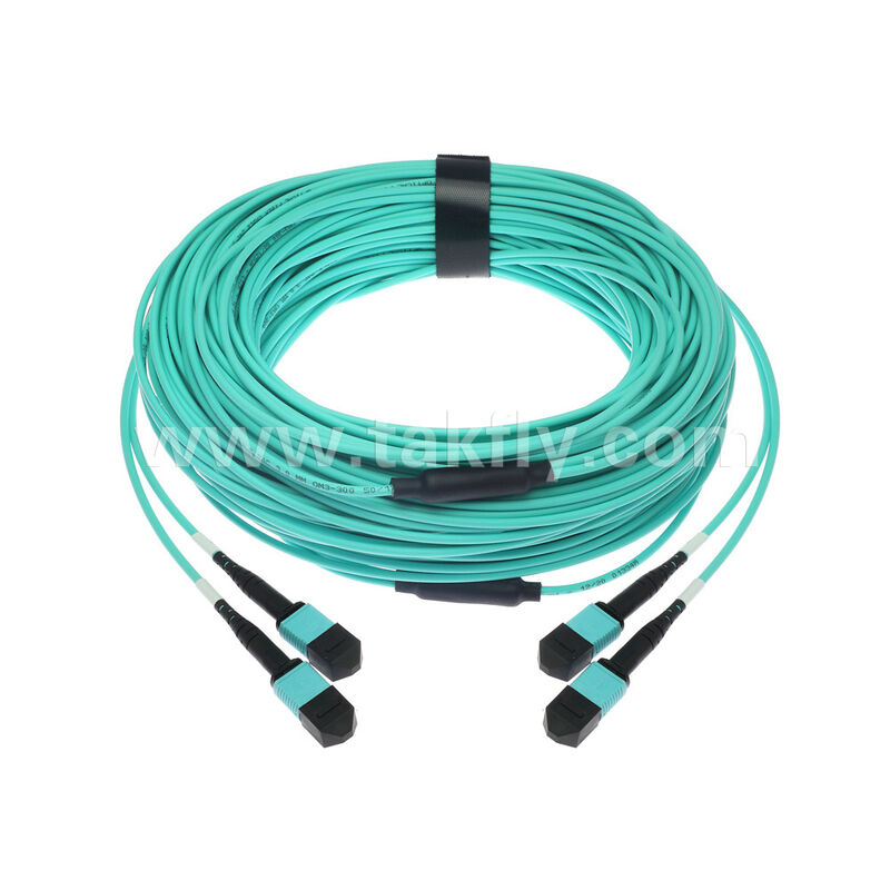 OM3 OM4 Multimode 24 vezels 2x12F MPO MTP - 2x12F MPO MTP Mannelijk Vrouwelijk Glasvezel Patchcord / Optische Glasvezel Patchkabel / Optische Breakout Kabel / Optische Glasvezel Trunk Kabel / Optische Glasvezel Fanout Kabel
