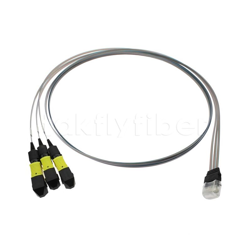 3x12F MTP - 36CH Fiber Array FA-assemblage met hoge transmissie snelheid, laag verbruik en hoge stabiliteit en betrouwbaarheid