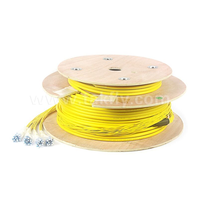 48Cores LC-LC Pre-terminated Breakout Patchcord voor Telecom Data Center