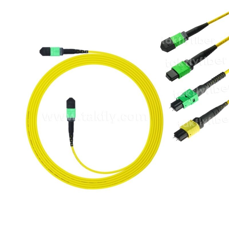 MPO MTP Patchcord SM Trunk Cable 12F Glasvezel voor Data Center AI Telecom FTTX Kabeling