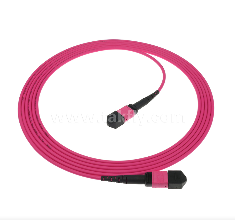 MPO/MTP OM4 Patch Cord    High-Density Multimode Connectivity voor Next-Generation Data Centers