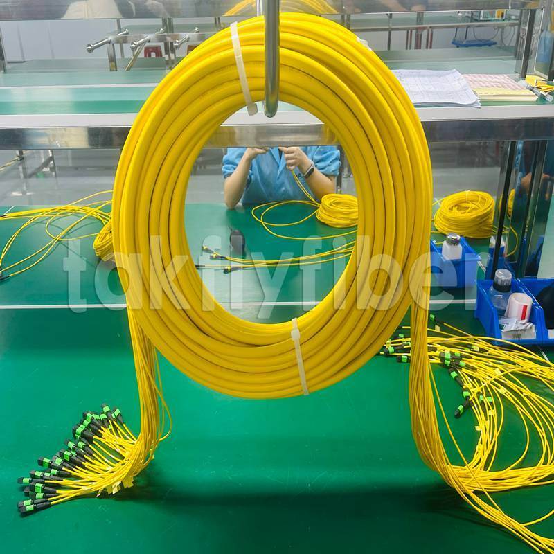 Takfly MPO/MTP Patch Cord 8/12/24 Kernen tot 576 Kernen laag verlies 500 paringscycli IEC & TIA compliant
